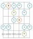 Minor pentatonic blues scale guitar diagram 4