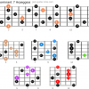 Dominant 7 arpeggios guitar