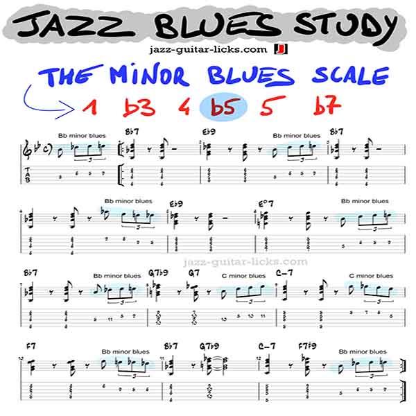 Jazz Blues Guitar Study - Chords and Minor Blues Scale