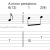 Relative Major And Minor Pentatonic Scales For Guitar - 4 Exercises - Lesson For Beginners
