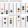 Whole half diminished scale guitar charts